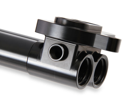 hemi0005erl_02.jpg