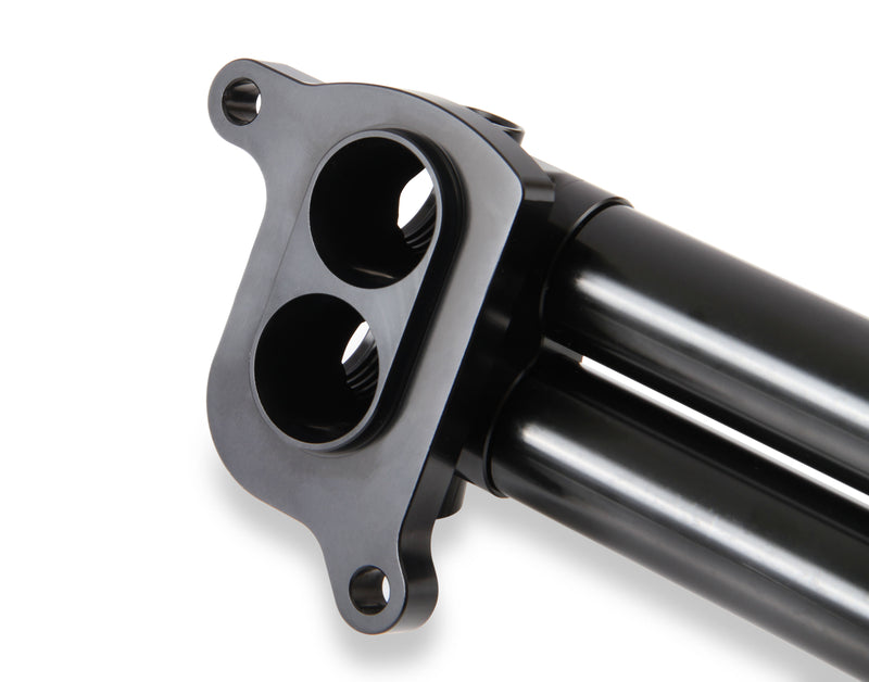 hemi0005erl_09.jpg
