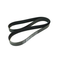 ProCharger 10-Rib Serpentine Supercharger Belt