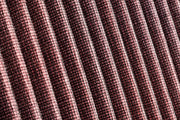 rf100028_002.jpg