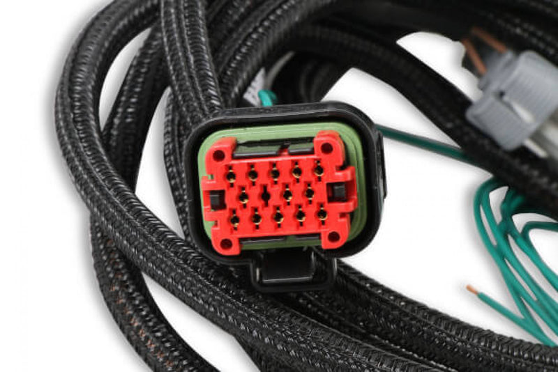 MSD EFI And LS Harness - Pro 600