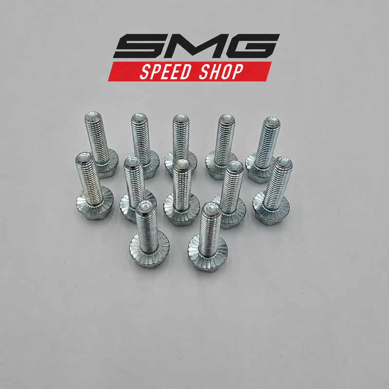 SMG GM LS zinc serrated flange header bolts, complete set of 12 shown upright
