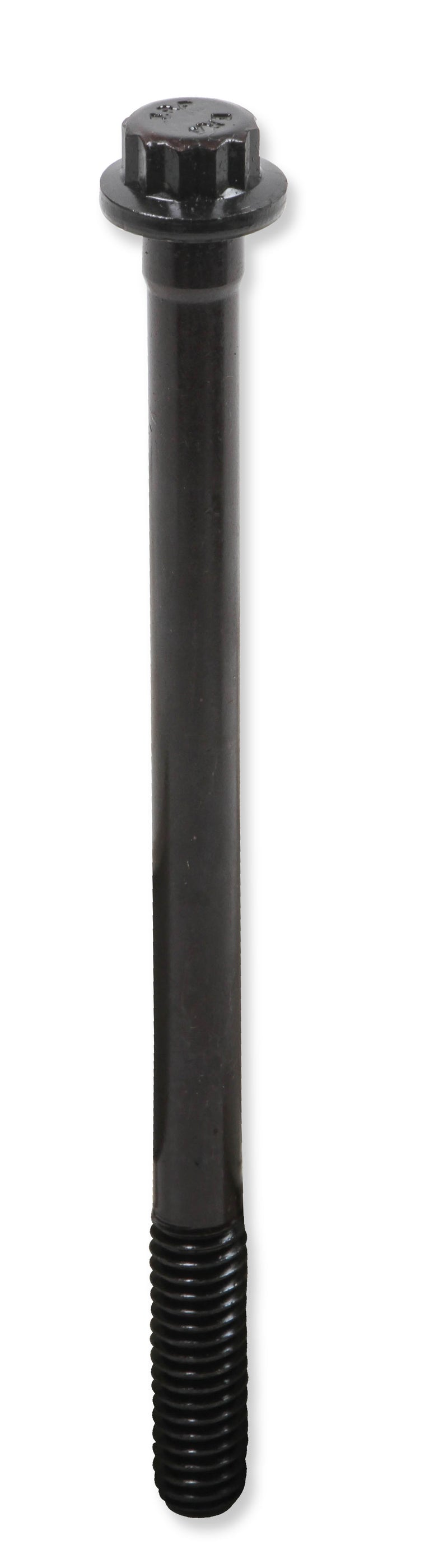 tbs-001erl_05.jpg