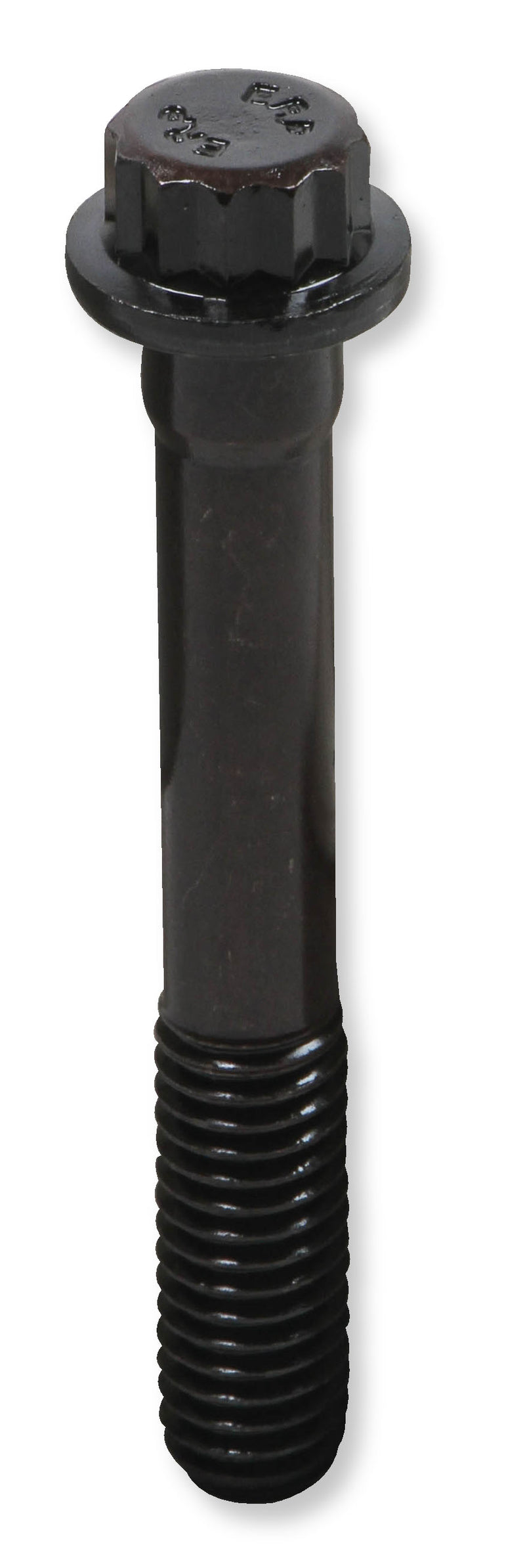 tbs-003erl_03.jpg