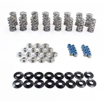 TSP .660 Polished Dual Valve Spring Kit with PAC Springs, Titanium Retainers and Two-Piece Seats and Seals