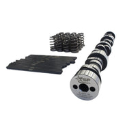 Texas Speed cathedral-port LS camshaft package with beehive valve springs and pushrods