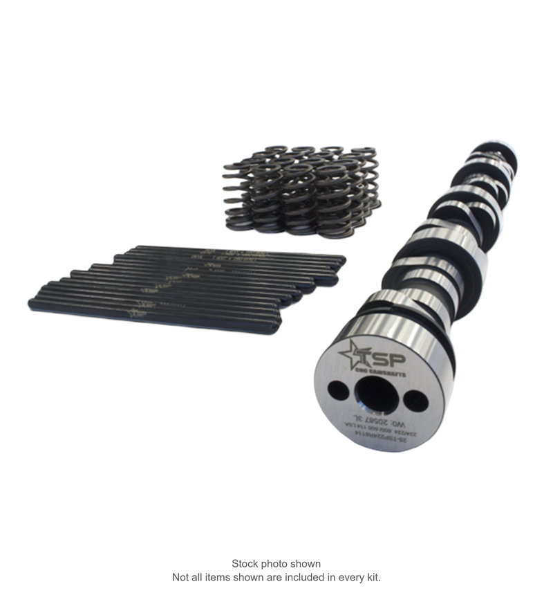 Representative TSP cathedral-port camshaft and beehive spring package. Stock photo shown; contents vary by selected kit.