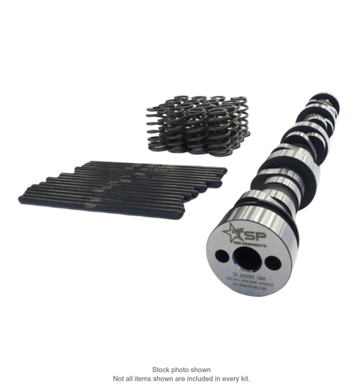 Representative TSP cathedral-port camshaft and beehive spring package. Stock photo shown; contents vary by selected kit.
