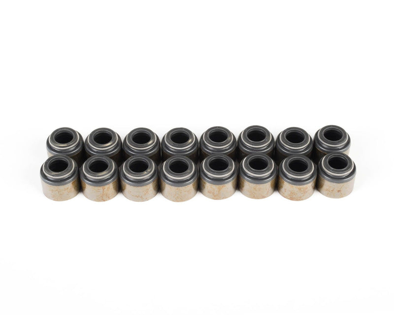 VS LS KIT