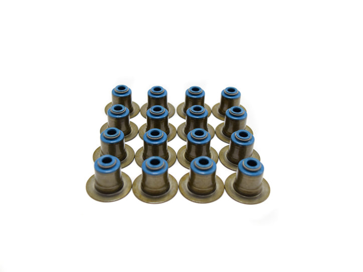 VS MOD 2V KIT