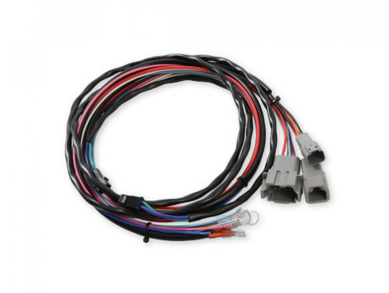 MSD Digital Programmable 6AL-2 - Black