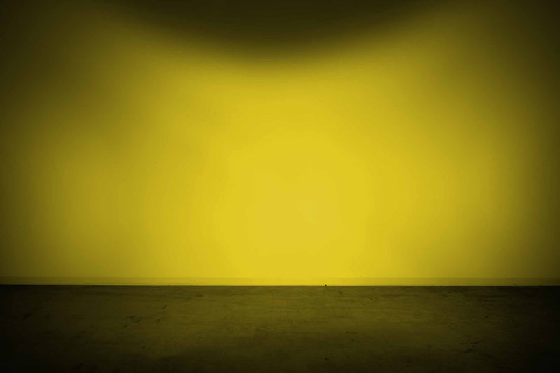Morimoto 4Banger Replacement Lens (Yellow / Flood)