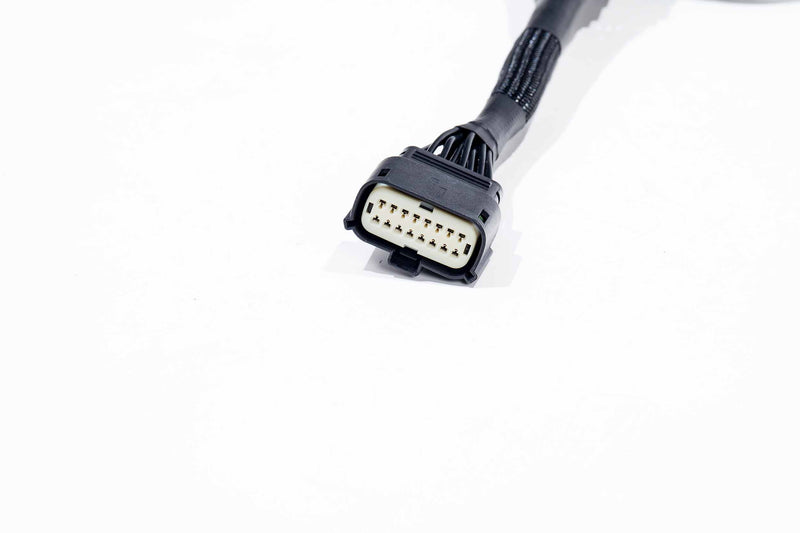 XBG Adapter Harness: 21+ F150 OE Projector LED