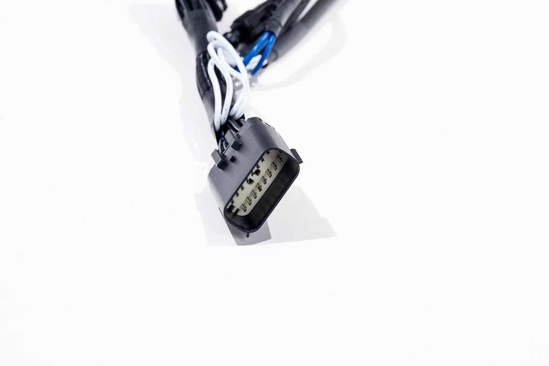 XBG Adapter Harness: 21+ F150 OE Projector LED
