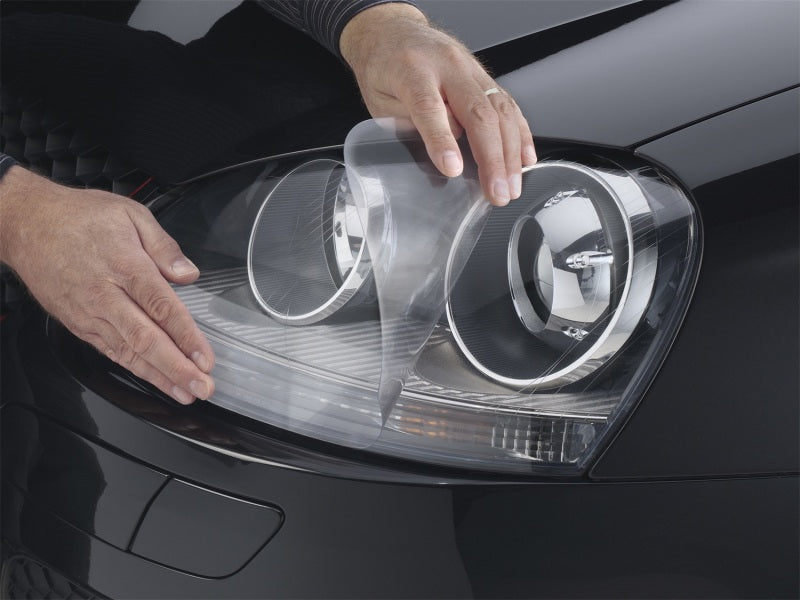 WeatherTech 02-05 Chevrolet TrailBlazer LampGard