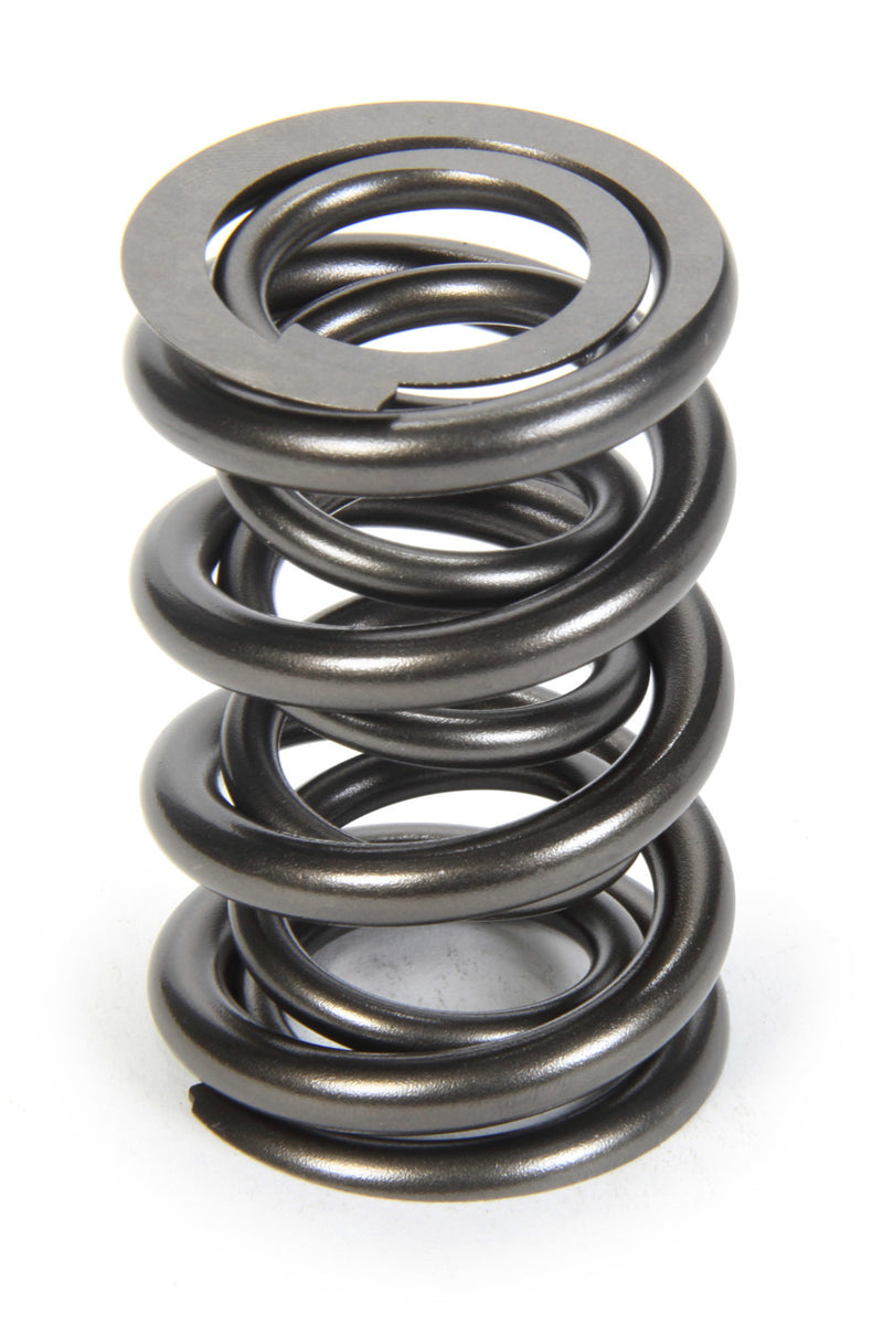 1.625 Dual Valve Springs - (16)
